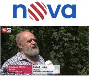 Předseda Svazu o škodách na chmelu v hlavních zprávách TV Nova