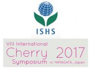 CHI na 8th International Cherry Symposium v Japonsku