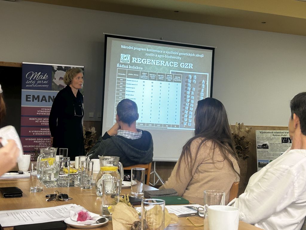 CHI na zasedání Rady genetických zdrojů v Opavě (3. 12. 2024). | Foto: S. Trnková Foto: S. Trnková