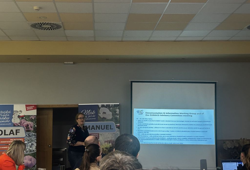 CHI na zasedání Rady genetických zdrojů v Opavě (3. 12. 2024). | Foto: S. Trnková Foto: S. Trnková